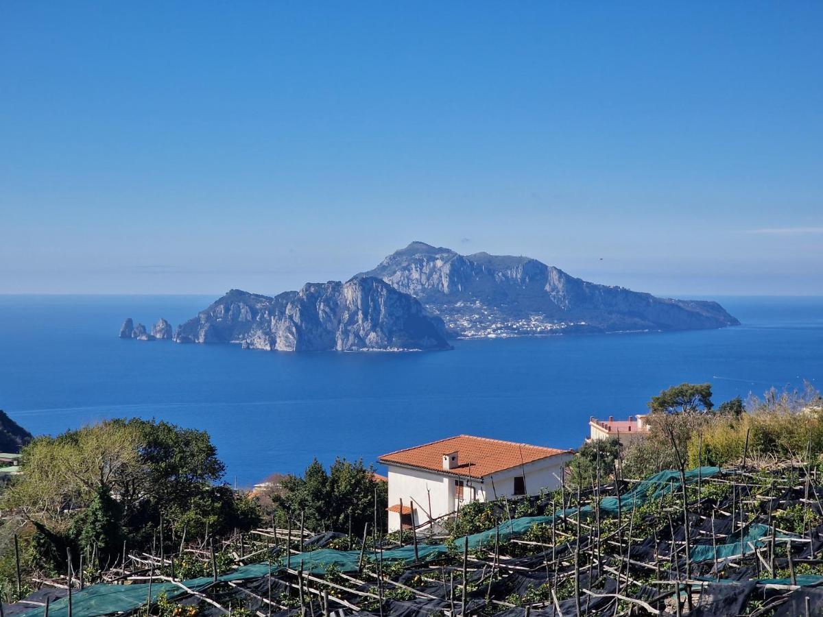 Apartmán Vico Di Mare Vico Equense Exteriér fotografie